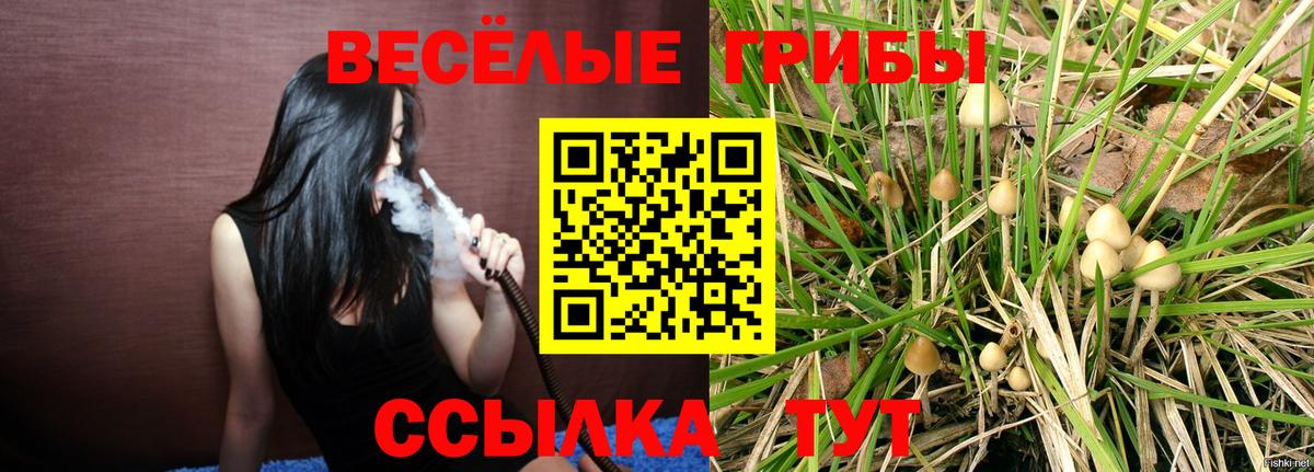 Галлюциногенные грибы прущие грибы Астрахань