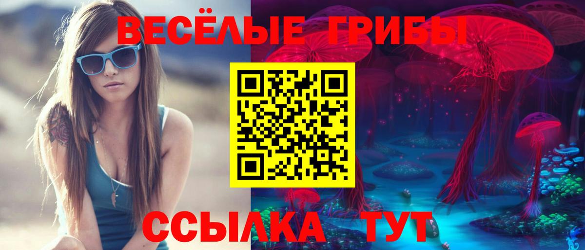 Галлюциногенные грибы Psilocybine cubensis  Вход с VPN  купить наркотик  Псилоцибиновые грибы прущие грибы  Астрахань 
